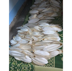 Os de seiche séchés du Vietnam pour produits pour animaux de compagnie, sources de calcium et acheteurs en gros - Product Image 2