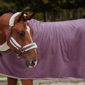 Hot Selling 100% Genuine Leather Western Equestrian Horse Bridle <b>Halter</b> with Soft Padding Comfortable & Durable Cheap Price - Product Image 4