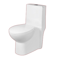 Toilettes modernes en céramique monobloc et deux pièces - Articles sanitaires faciles à installer