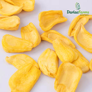 Fruta de Jackfruit liofilizada de calidad 100% de Vietnam, bocadillo listo con sabor dulce, venta al por mayor, fruta seca a granel, Jackfruit Liofilizado - Product Image 4