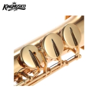 Bb Soprano Saxophone Brass Body with Case Mouthpiece and Accessories for Students