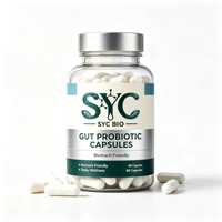 Capsules Probiotiques OEM Résistantes aux Acides, Absorption Douce, Soin Intestinal, 90 Gélules, Formule Multi-Souches, Vente en Gros, Personnalisées pour Adultes, HACCP