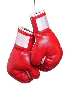Gants de boxe rouges et blancs avec fermeture auto-agrippante pour l'entraînement aux arts martiaux - Product Image 2