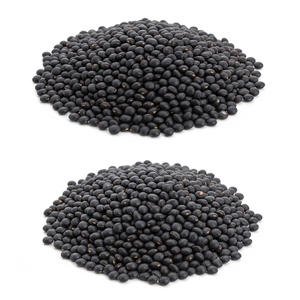 Lentejas Negras Orgánicas con 99% de Pureza y Semillas Premium Seleccionadas a Mano para el Mercado Internacional - Product Image 6