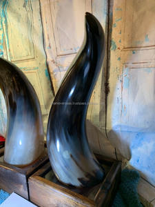 Par de Arte de cuerno de buey pulido abstracto único para exhibición de repisa de escritorio - Product Image 3