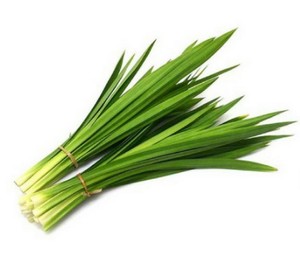 มีบริการ OEM มาตรฐานส่งออกแบบสุญญากาศบรรจุใบเตยแช่แข็งขายส่ง - Product Image 1