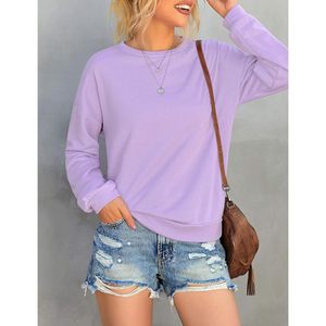 2025 femmes décontracté soie sweats à capuche col rond à manches longues pull ample hauts avec techniques brodées - Product Image 1