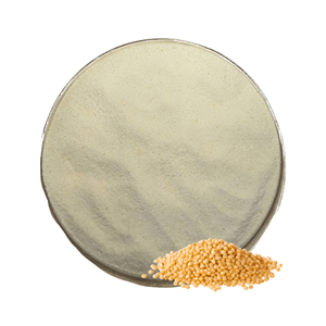 Poudre de millet, extrait de graines, qualité alimentaire, emballée sous vide, superaliment naturel riche en nutriments d'origine végétale pour la santé et le bien-être - Product Image 1