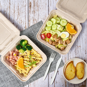 Boîtes à emporter en forme de coquille, 100 % compostables, jetables, pour plats à emporter, 8x8 pouces, robustes, écologiques - Product Image 4