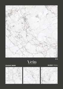 Carreaux de porcelaine de qualité intérieure 60x60 cm, adaptés aux designs de sols raffinés nécessitant une précision d'alignement et une surface fiable. - Product Image 5