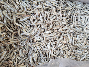 Anchoas Secas Premium (Sprats) |   Secado al Sol Natural |   Proveedor de Vietnam - Product Image 5