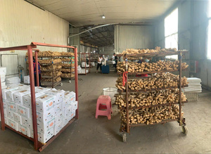 Jengibre fresco de alta calidad - 100% Backan Vietnam, bolsa de malla de 20 kg, marca Bao Tram Anh, 2 años de duración, almacenamiento en frío, listo para exportación - Product Image 6
