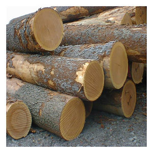 Troncos de madera de roble de alta calidad, troncos redondos de madera dura para la fabricación de muebles, pisos y construcción, exportación a granel. - Product Image 1