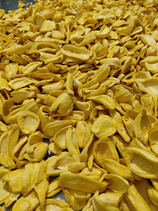 Jacas Secas al por Mayor - Fruta Tropical Vietnamita de Primera Calidad - Product Image 6