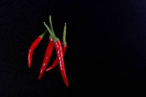 Piment rouge entier indien de qualité alimentaire, marque FitTree International, durée de conservation de 24 mois, cru, pour la distribution mondiale d'ingrédients - Product Image 3