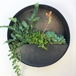 Modern round Hanging Wall <b>Vase</b> Planter Flower Pot for Home Decor & Garden Wall Accent - Product Image 5