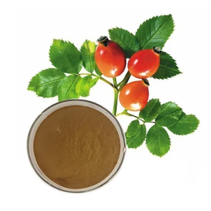 Extrait de cynorrhodon en poudre VC 5% 25% pour fournisseurs en gros - Product Image 3