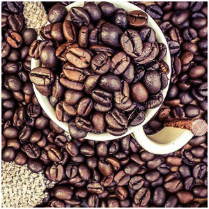 Granos de café verde natural de alta calidad para la venta al por mayor. Granos de café Arábica tostados. Compre granos de café tostados a precio económico. - Product Image 2