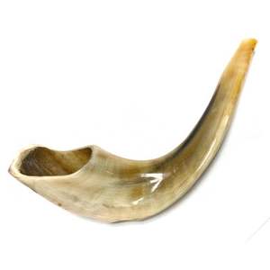 Shofar juif casher artisanal en corne de buffle naturelle polie, respectueux de l'environnement, style religieux, produit intemporel et très demandé - Product Image 1