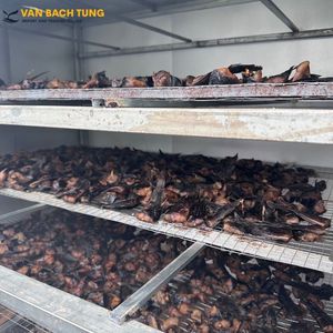 Aromatischer Geräucherter Wels in Exportqualität, Vietnamesischer Geräucherter Wels von VAN BACH TUNG für den Großhandel - Product Image 5