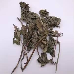 Feuilles de ricin en gros, feuilles de ricin séchées, feuilles de ricin violettes séchées, meilleur prix ANGLE - Product Image 2