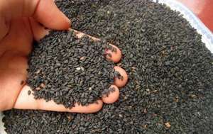 Pâte à tartiner au beurre de sésame noir grillé parfumée pour boulangerie, smoothies, desserts, crème de sésame saine - Product Image 3