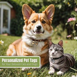 Étiquette de chien en métal en acier inoxydable de luxe arc créatif Design géométrique Durable Anti-perte carte d'identité pour animaux de compagnie porte-clés bijoux gravés - Product Image 4