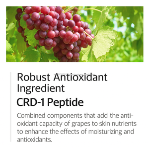 Coreano oem cura della pelle EGT Peptide crema per gli occhi K bellezza Lifting rassodante essenza di trattamento per occhi gonfi stanchi e linee sottili - Product Image 4