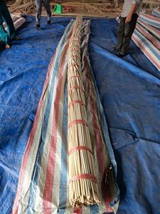 แกนหวายดิบและวัสดุเปลือก1มม. ถึง12มม. ทำตะกร้าสานเฟอร์นิเจอร์จาก vigifarm - Product Image 6