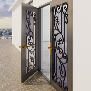 Portes modernes en métal et en fer sont disponibles pour les portes d'entrée principales, les portes de jardin, les portes intérieures et les options de portes intelligentes. - Product Image 6