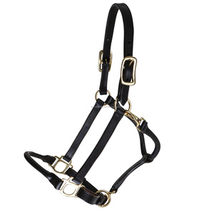 Licol en cuir de qualité supérieure avec logo personnalisé Produit équestre haut de gamme pour l'équitation - Product Image 1