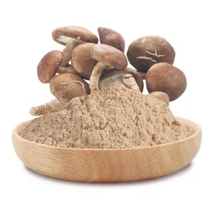 Polvo de Champiñones Shiitake Orgánico al por Mayor, Extracto Seco Premium a Granel, Suplemento Natural para el Sistema Inmunitario y Superalimento Antioxidante en Polvo - Product Image 2