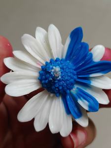 Velas Aromáticas de Cera de Soya Hechas a Mano con Diseño Floral, Ecológicas, con MOQ Bajo, para Decoración del Hogar y Regalos Festivos - Product Image 1