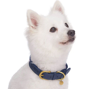 High Performance Long Term Use <b>Dogs</b> Leather Collar Trending Fashion High Durable Best Selling <b>Dogs</b> Collar In Low MOQ - Product Image 3