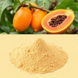 Poudre d'extrait de papaye biologique naturelle de qualité alimentaire 3000-60000 USP U/Mg, enzyme papaïne, extrait végétal, attendrisseur de viande, en aluminium - Product Image 1