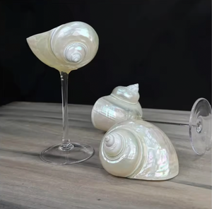 Tazón de Concha Natural Ecológico Hecho a Mano para Joyería, Manualidades y Decoración del Hogar - Product Image 5