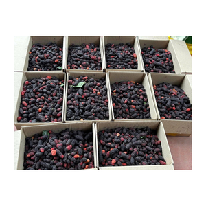 Premium Dried Mulberries Healthy Superfruit Health <b>Tea</b> Loose Leaf <b>Box</b> Packaging Wholesale Factory Direct Vietnam - Product Image 5