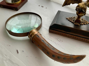 Loupe de lecture vintage en corne de gazelle antique, outil décoratif pour collectionneur, décoration rustique pour la maison ou le bureau - Product Image 2