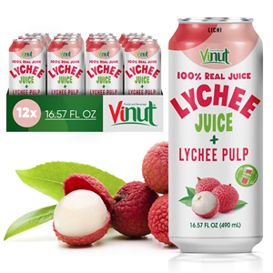 Jugo de Lichi con Pulpa, Lata de 490 ml, 12 Latas por Caja, 100% Puro, 18 Meses de Caducidad, Proveedor Mayorista para Importadores - Product Image 1