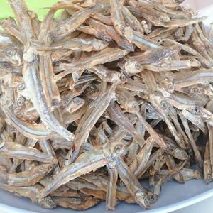 Anchoas Secas de Alta Calidad, Grado A, Tamaño Pequeño, Bajo en Sodio, Sin Gluten, Veganas, en Caja/Envase a Granel, Precio Bajo - Product Image 4