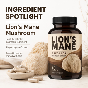 Approvisionnement en gros : Capsules d'extrait de champignon Crinière de lion 100 % naturelles, qualité alimentaire, favorisant l'équilibre nutritionnel du corps - Product Image 4