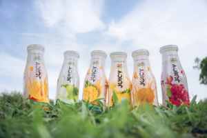 Jugo de Naranja 100% NAWON de la Mejor Calidad, Bebida en Botella de Vidrio de 405 ml, Jugos de Frutas de Vietnam, Fabricante de Alimentos y Bebidas OEM - Product Image 6