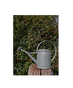 Regadera de metal ecológica para jardinería sostenible, material reutilizable y duradero, diseño de boquilla larga con flujo de agua eficiente. - Product Image 4