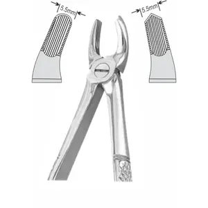 Pinzas de Extracción con Diseño Infantil para Dientes Centrales Superiores y Molares Superiores, Instrumentos Quirúrgicos Dentales - Product Image 1
