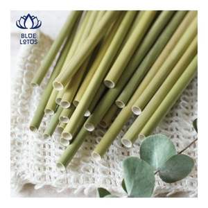 Pajitas de Bambú Reutilizables LISTAS PARA ENVIAR, Pajitas de Bambú para Bebidas Frías y Servicio de Bebidas en Cafeterías - Product Image 3