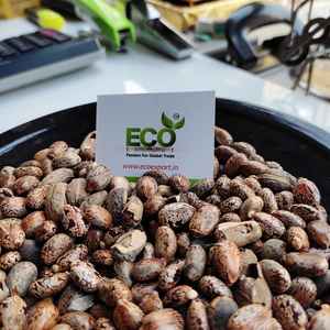 Des graines de ricin agricoles efficaces pour le contrôle des taupes - Product Image 5