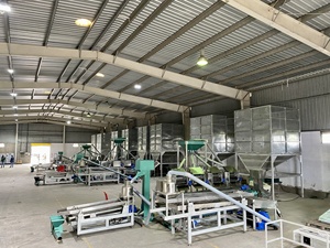 TTQ Cashew Processing Plant 30 Tons Per Day Raw Cashew Nut Line White Kernel Food Grade SS Ho <b>Chi</b> Minh City Manufacturer 380V - Product Image 2