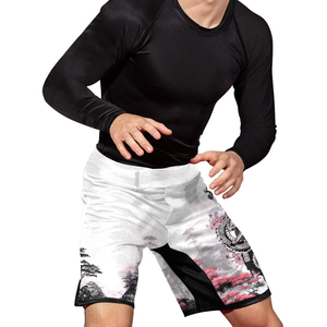 Wholesales Price Custom Made MMA <b>Shorts</b> Latest Designs Martial Arts MMA <b>Grappling</b> <b>Shorts</b> OEM Sublimation Printed Fighter <b>Shorts</b> - Product Image 4
