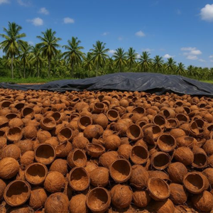 เปลือกมะพร้าวธรรมชาติ (บดละเอียดจากอินเดีย) Seeniz Coco คุณภาพสูง เกรด A แห้งพิเศษ สำหรับวัสดุปูพื้นสัตว์เลื้อยคลาน ตกแต่งตู้เลี้ยงสัตว์ - Product Image 2