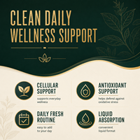 Formule Personnalisée Gouttes Liquides de Chlorophylle Naturelle avec Extrait de Moringa et de Menthe Verte pour le Soutien Immunitaire Adulte et la Fraîcheur Quotidienne OEM